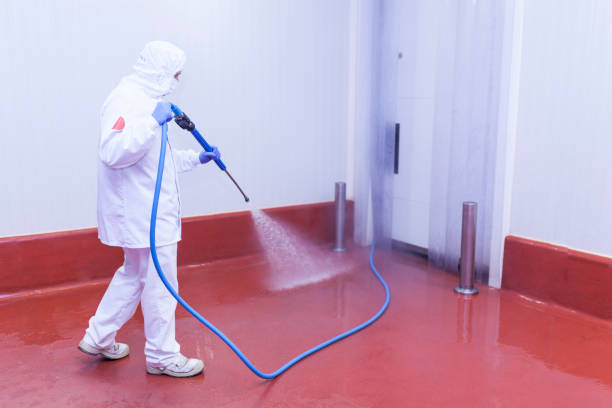 Best Building Exterior Washing  in Shreveport, LA